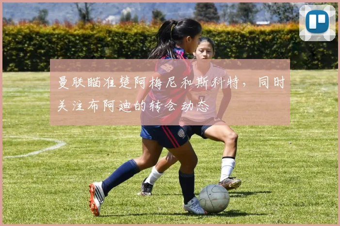 曼联瞄准楚阿梅尼和斯科特，同时关注布阿迪的转会动态