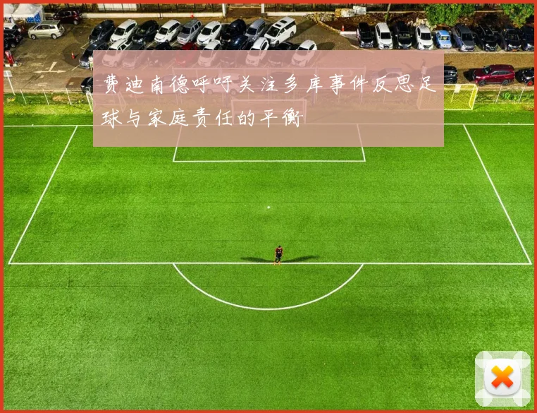 费迪南德呼吁关注多库事件反思足球与家庭责任的平衡
